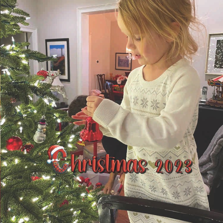 Lizzie%20Hanging%20Christmas%20Tree%20Ornamante%20 %20Flipped